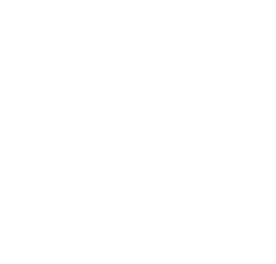 Google Partner — Premier 2026